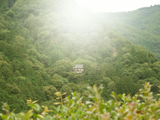 Intill bambuskogen ligger den mysiga trädgården Okochi Sanso som bjuder på vackra vyer och exotiska flora och fauna.