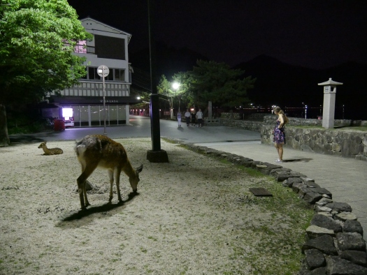 Surrealistiskt nog är Miyajima fullt av rådjur som vandrar omkring på gatorna. Miyajima är typiskt sett en dagsutflyktsdestination från Hiroshima, vilket gör att man får gatorna för sig själv om man väljer att - som vi - stanna över natten.